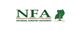 realtek-national-forest-authority
